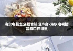 海尔电视怎么插音箱没声音-海尔电视插音箱口在哪里