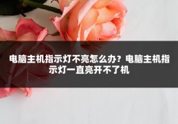 电脑主机指示灯不亮怎么办?电脑主机指示灯一直亮开不了机