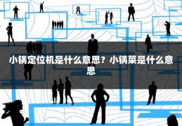 小锅定位机是什么意思?小锅菜是什么意思