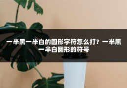 一半黑一半白的圆形字符怎么打?一半黑一半白圆形的符号