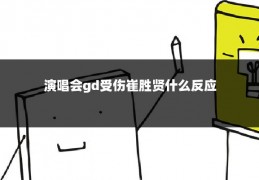 演唱会gd受伤崔胜贤什么反应