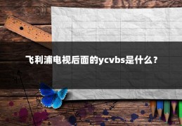 飞利浦电视后面的ycvbs是什么？