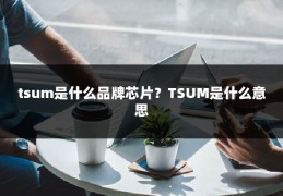 tsum是什么品牌芯片?TSUM是什么意思