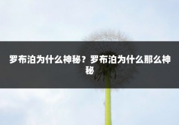 罗布泊为什么神秘?罗布泊为什么那么神秘