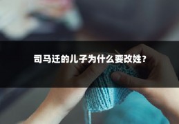 司马迁的儿子为什么要改姓?