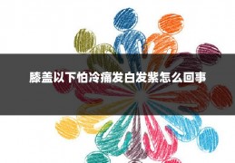 膝盖以下怕冷痛发白发紫怎么回事