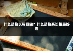 什么动物长相最凶?什么动物系长相最好看