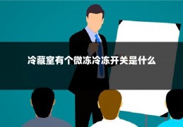 冷藏室有个微冻冷冻开关是什么