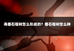 毒番石榴树怎么形成的？番石榴树怎么种