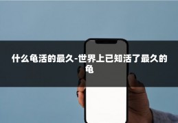 什么龟活的最久-世界上已知活了最久的龟