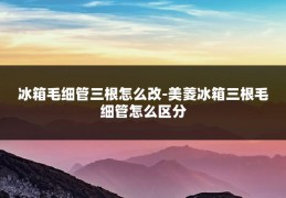 冰箱毛细管三根怎么改-美菱冰箱三根毛细管怎么区分