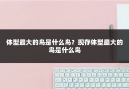 体型最大的鸟是什么鸟?现存体型最大的鸟是什么鸟