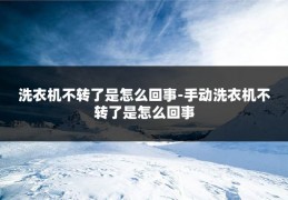 洗衣机不转了是怎么回事-手动洗衣机不转了是怎么回事