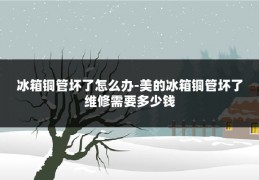 冰箱铜管坏了怎么办-美的冰箱铜管坏了维修需要多少钱