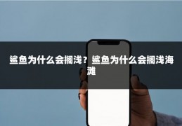 鲨鱼为什么会搁浅？鲨鱼为什么会搁浅海滩