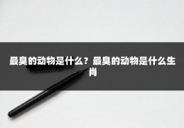 最臭的动物是什么?最臭的动物是什么生肖