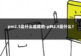 pm2.5是什么造成的-pM2.5是什么？