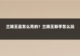 兰陵王是怎么死的？兰陵王新手怎么玩