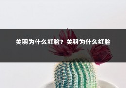 关羽为什么红脸？关羽为什么红脸