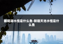 鄱阳湖水怪是什么鱼-新疆天池水怪是什么鱼
