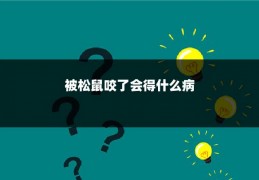 被松鼠咬了会得什么病