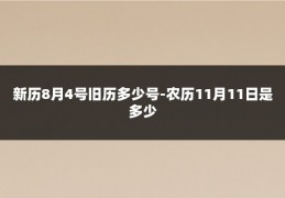 新历8月4号旧历多少号-农历11月11日是多少