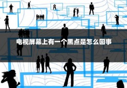 电视屏幕上有一个黑点是怎么回事
