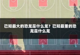 已知最大的恐龙是什么龙?已知最重的恐龙是什么龙