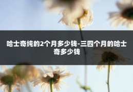 哈士奇纯的2个月多少钱-三四个月的哈士奇多少钱