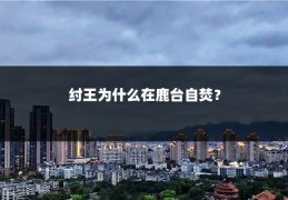 纣王为什么在鹿台自焚？