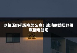 冰箱压缩机漏电怎么查？冰箱启动压缩机就漏电跳闸
