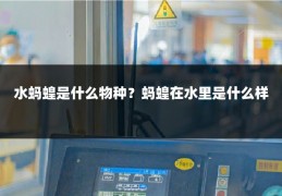 水蚂蝗是什么物种？蚂蝗在水里是什么样
