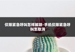 仅限紧急呼叫怎样解除-手机仅限紧急呼叫怎取消