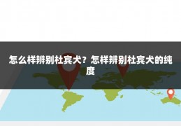 怎么样辨别杜宾犬？怎样辨别杜宾犬的纯度