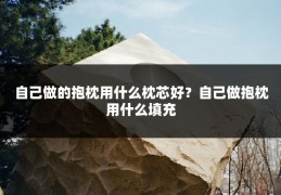 自己做的抱枕用什么枕芯好？自己做抱枕用什么填充