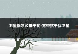 卫星锅怎么抗干扰-宽带抗干扰卫星
