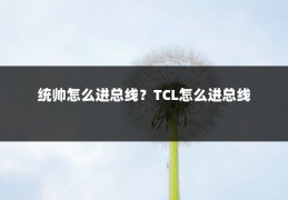 统帅怎么进总线?TCL怎么进总线
