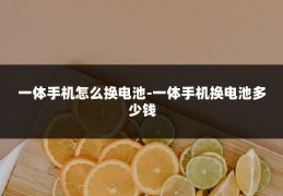 一体手机怎么换电池-一体手机换电池多少钱