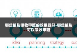 哪些植物吸收甲醛的效果最好-哪些植物可以吸收甲醛