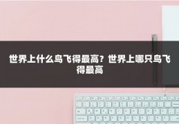 世界上什么鸟飞得最高？世界上哪只鸟飞得最高
