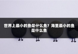 世界上最小的鱼是什么鱼？海里最小的鱼是什么鱼