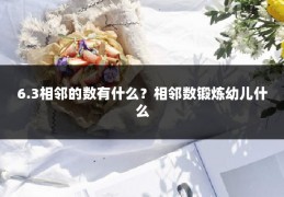 6.3相邻的数有什么？相邻数锻炼幼儿什么