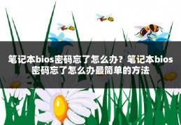 笔记本bios密码忘了怎么办?笔记本bios密码忘了怎么办最简单的方法