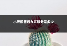 小天鹅售后九江服务是多少