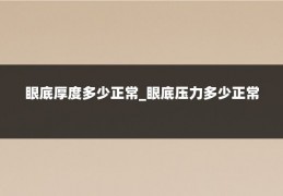 眼底厚度多少正常_眼底压力多少正常