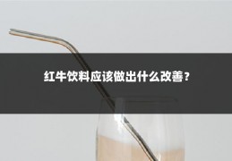 红牛饮料应该做出什么改善？