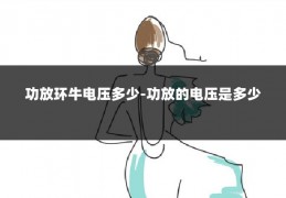 功放环牛电压多少-功放的电压是多少