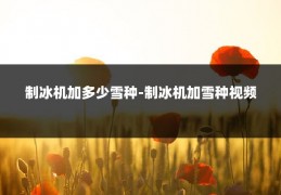 制冰机加多少雪种-制冰机加雪种视频