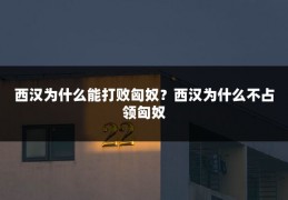 西汉为什么能打败匈奴?西汉为什么不占领匈奴