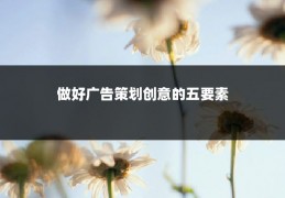 做好广告策划创意的五要素